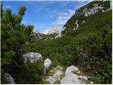 Planina Ravne - Kocbekov dom na Korošici